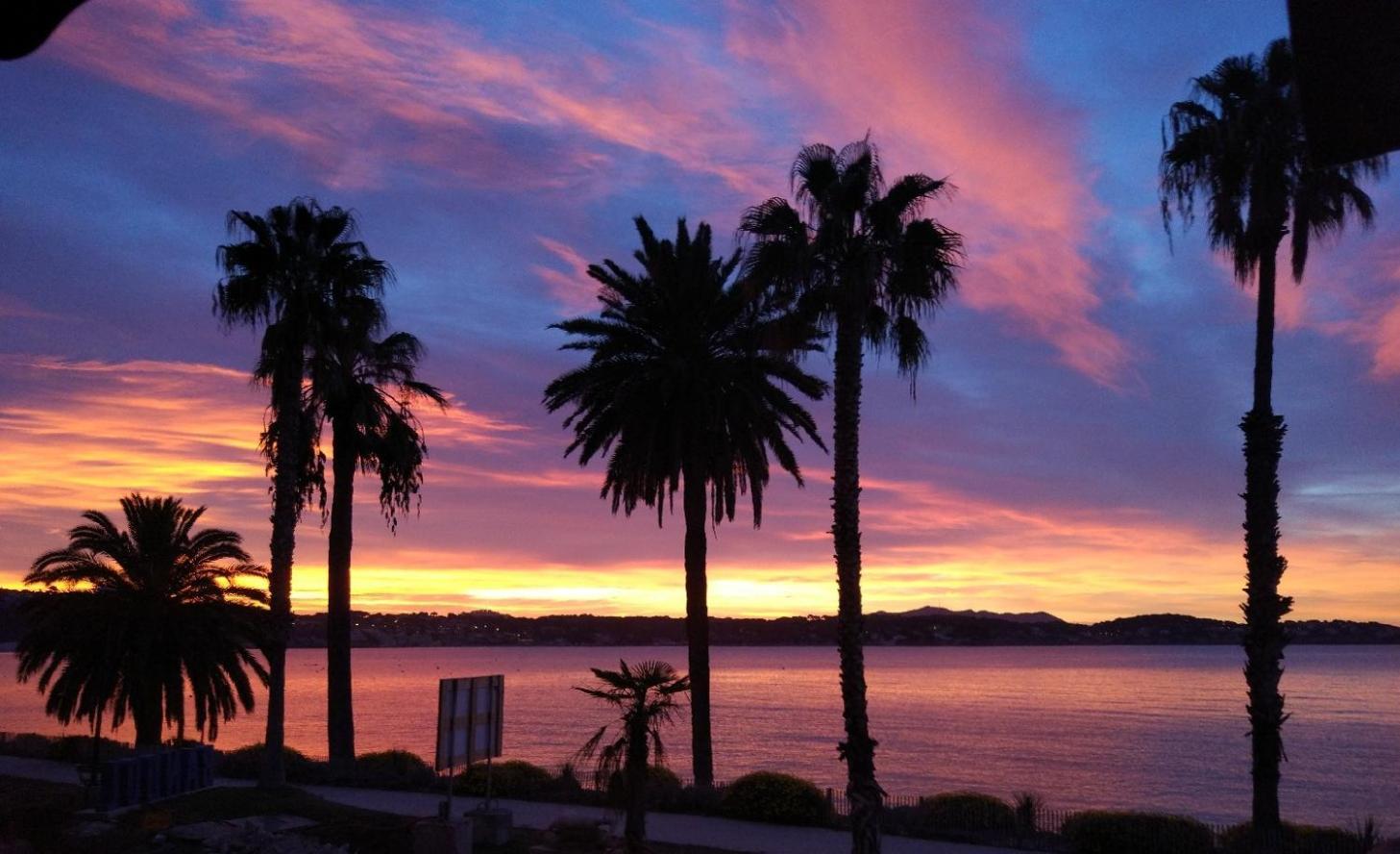 Front De Mer - Emplacement Prise - T2 Moderne Et Climatise - Tout A Pied Bandol Esterno foto